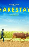 Harestay