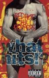 Red Hot Chili Peppers - What Hits!?