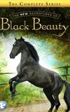 The New Adventures of Black Beauty