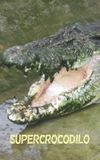 Man-Eating Super Croc