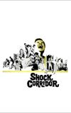 Shock Corridor