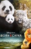 Born in China