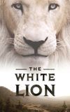 White Lion