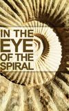 In the Eye of the Spiral