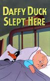 Daffy Duck Slept Here