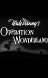 Operation Wonderland