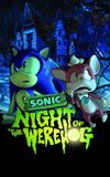 Sonic: Night of the Werehog