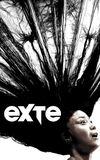 Exte: Hair Extensions