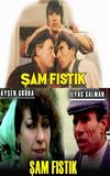 Şam Fıstık