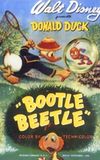 Bootle Beetle