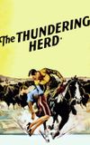 The Thundering Herd