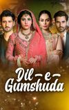 Dil e Gumshuda