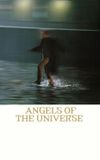 Angels of the Universe