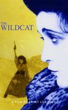 The Wildcat