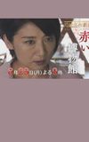 The Red Museum of Crime Evidence - The Saeko Hiiro Series