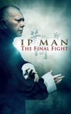 Ip Man: The Final Fight