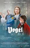 Kommt ein Vogel geflogen