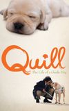 Quill: The Life of a Guide Dog