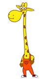 Joze the Giraffe