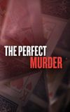 The Perfect Murder