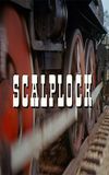 Scalplock