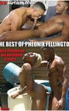 The Best of Pheonix Fellington