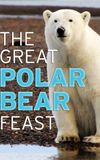 The Great Polar Bear Feast