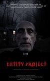 Entity Project