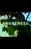 Awareness