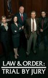 Law & Order: Trial by Jury