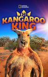 The Kangaroo King