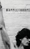 Mapplethorpe: Look at the Pictures