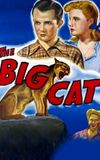 The Big Cat