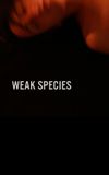 Weak Species