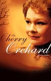 The Cherry Orchard