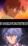 Evangelion: Death (True)²