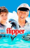 Flipper