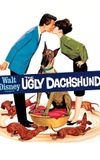 The Ugly Dachshund