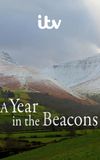 A Year in the Beacons