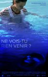 Ne vois-tu rien venir ?