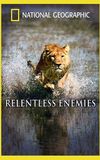 Relentless Enemies: Lions and Buffalo