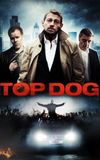 Top Dog