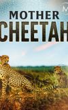 Cheetah Mom