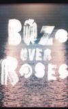 Bozo Over Roses