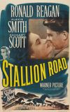 Stallion Road