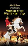 Miracle of the White Stallions