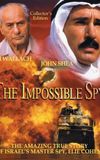 The Impossible Spy