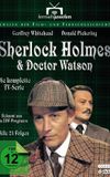 Sherlock Holmes and Dr. Watson