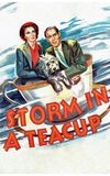 Storm in a Teacup