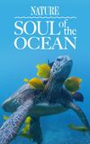 Soul of the Ocean